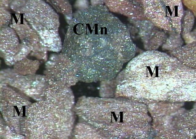 Foram identificados poucos grãos de quartzo, que se apresentaram pouco angulosos também. As características acima destacadas podem ser observadas na Figura 5.3.