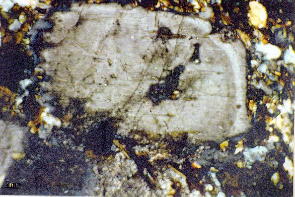 42 biotita, clino e ortopiroxênios, e como minerais acessórios zircão, quartzo, apatita e opacos. Olivina foi observada em algumas amostras do norito.