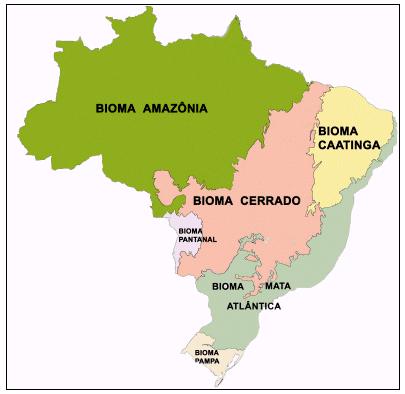 QUESTÃO 4 OBSERVE o mapa: Imagem disponível em: <https://www.ibge.gov.br/home/presidencia/noticias/images/biomas_grf01.