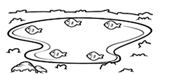 peixinhos na lagoa: 3- Responda: a) Uma