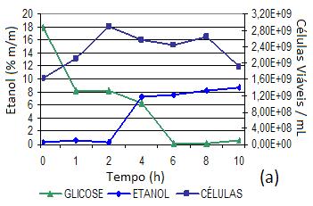 metabólica da cepa Y 904. Figura 1. Concentração de glicose, etanol e levedura durante o período de fermentação.
