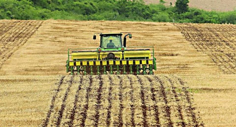 para o controle de plantas daninhas; Formação e manutenção