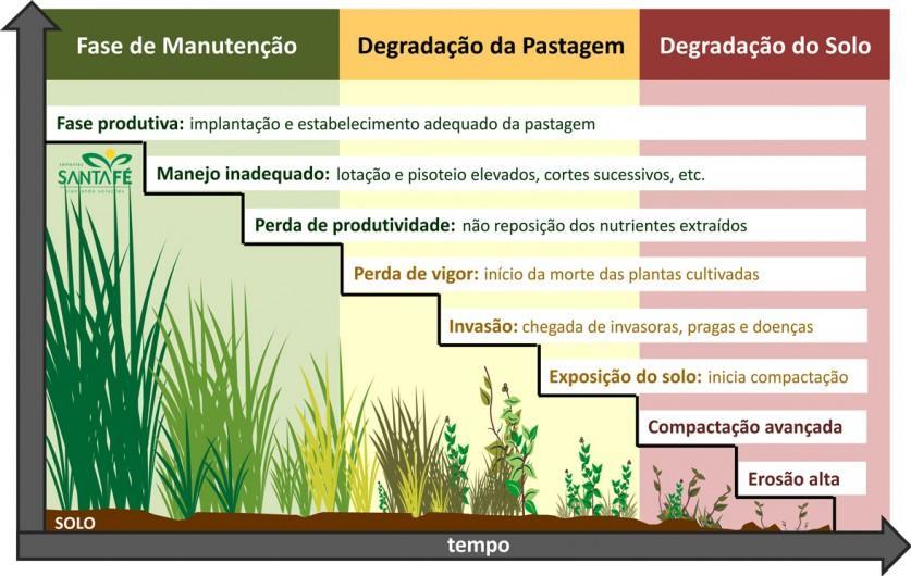 PRINCIPAIS OBJETIVOS DA INTEGRAÇÃO LAVOURA