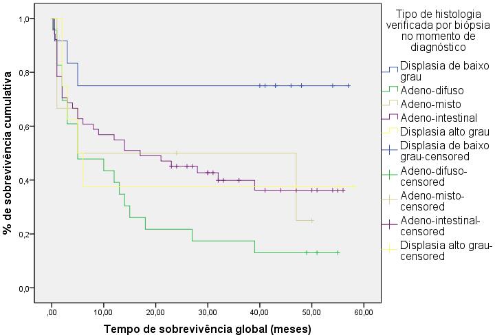 Anexos Neoplasia Gástrica: Caracterização epidemiológica e análise de sobrevivência nos pacientes do