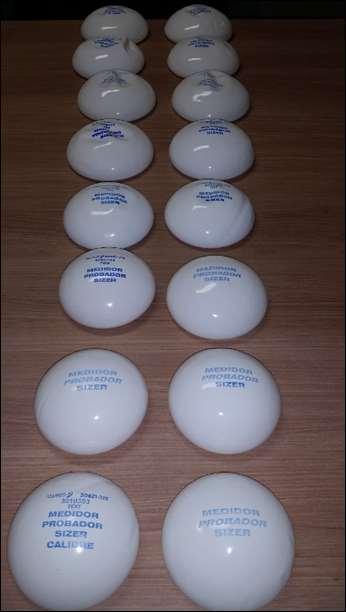 22 No Grupo Experimento Silicone, foram utilizados moldes de implante de silicone de volumes (ml): 175, 195, 215, 235, 255, 285, 305, 325, 355 (Figura 7).