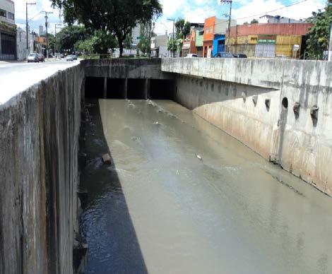 A efetiva despoluição de toda a bacia iniciou-se em 2011 e a finalização da mesma com a despoluição da última subbacia ocorreu em dezembro de 2014.