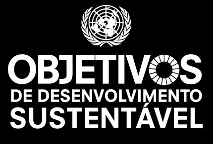 7 ENERGIAS RENOVÁVEIS 8 TRABALHO DIGNO E CRESCIMENTOECONÔMICO 9 INDÚSTRIA, INOVAÇÃO E INFRAESTRUTURA 10 REDUZIR AS DESIGUALDADES 11 CIDADES E