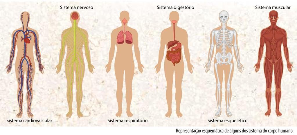 SISTEMAS DO