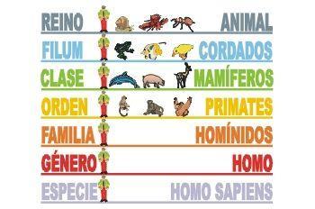 Convenção sobre Diversidade Biológica Em 1993, 160 países assinaram um acordo para a conservação da biodiversidade a partir do uso sustentável de recursos naturais.