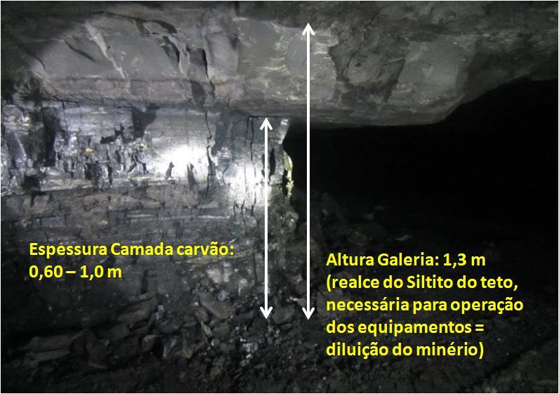 154 2 MATERIAIS E MÉTODOS 2.1 Amostra O material usado para este estudo é oriundo de uma mina de carvão pertencente à Carbonífera do Cambuí no Estado do Paraná/BR.