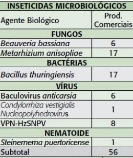 Primeiro Grnde Desfio: Poucos produtos registrdos É