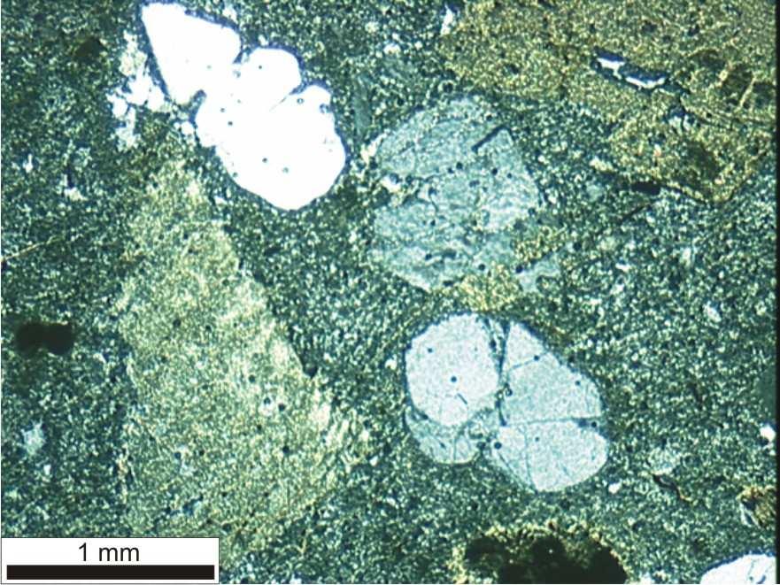 41 Os riolitos aflorantes no domínio sudoeste são caracterizados como rochas hemicristalinas e porfiríticas, evidenciadas pela presença de fenocristais de quartzo, K- feldspato e subordinadamente