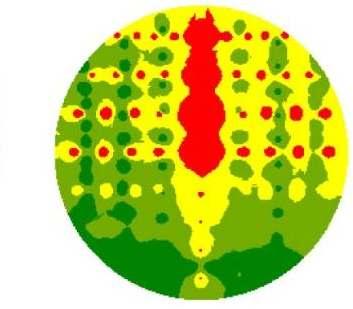 3. Desultados e discussão As fig. de 2 a 7 apresentam algumas das imagens geradas utilizando-se as variações de velocidade de propagação nos discos de Eucalyptus Citriodora.