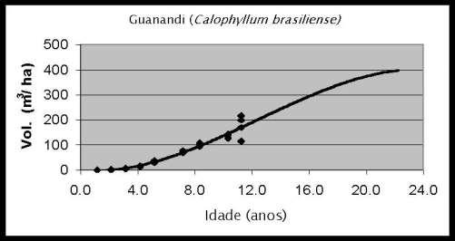 brasiliense (Volume x Tempo) PIOTTO,D et al