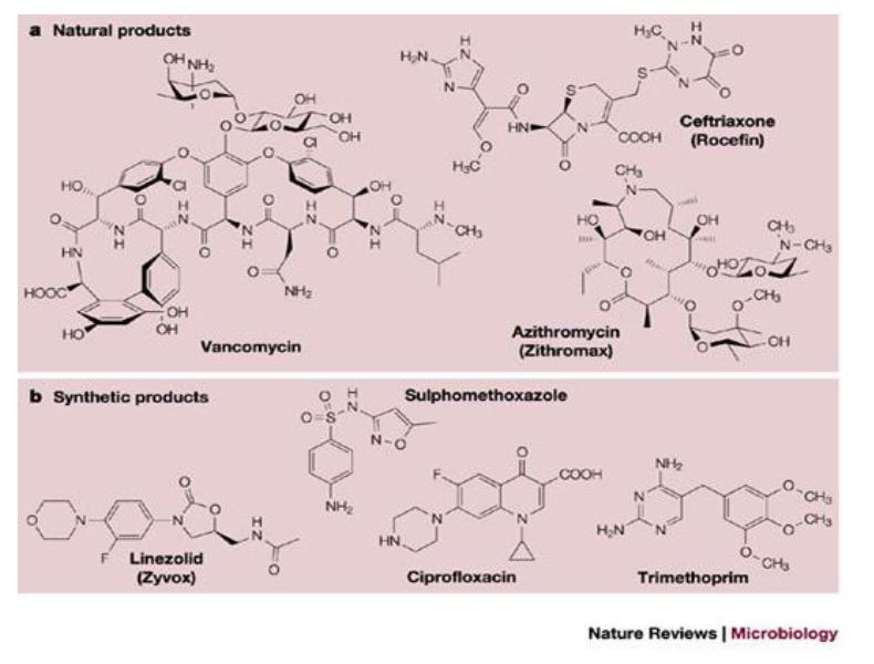 Antibióticos