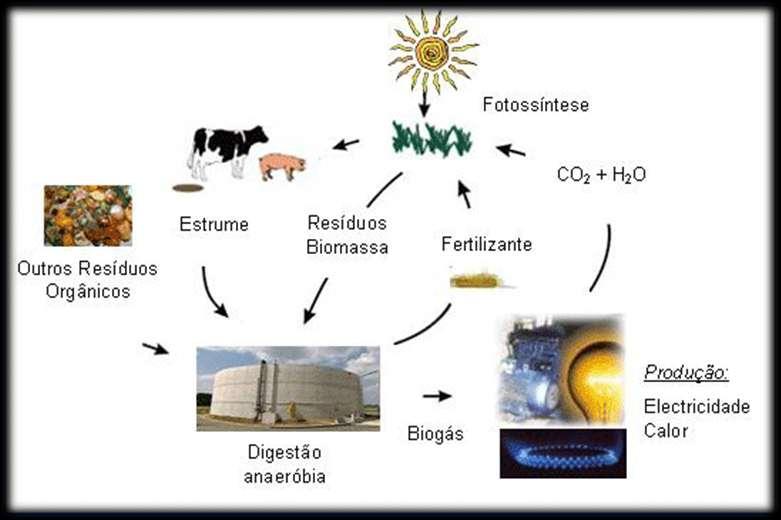 Biocombustíveis gasosos (Biogás) Valorização do metano (biogás) dos