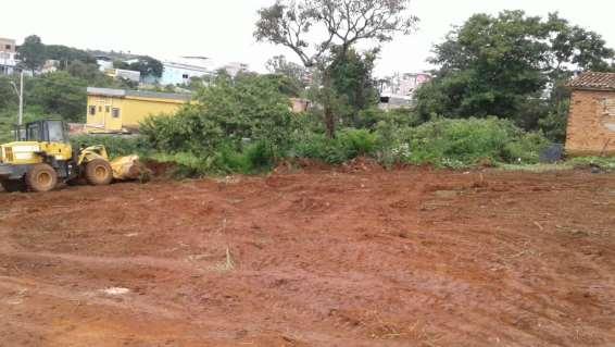 Limpeza dos lotes Após a limpeza dos lotes, começou o