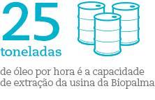 Belém Produção de biodiesel: 2015 6 000 empregos BIOPAL