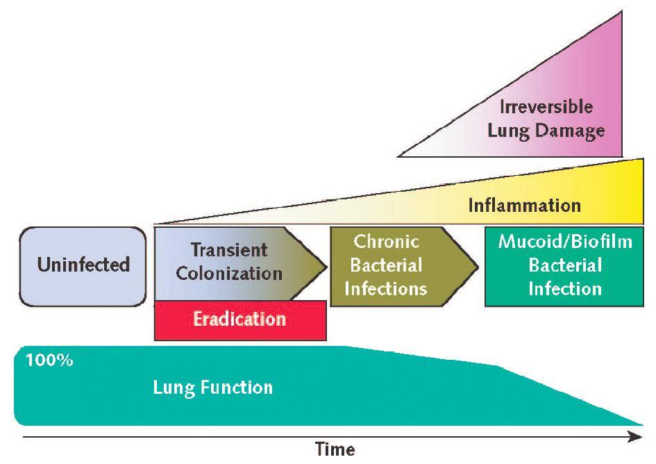 Janela de oportunidade e Evolução da doença Pathogenesis of Early Lung Disease in Cystic Fibrosis: A Window of