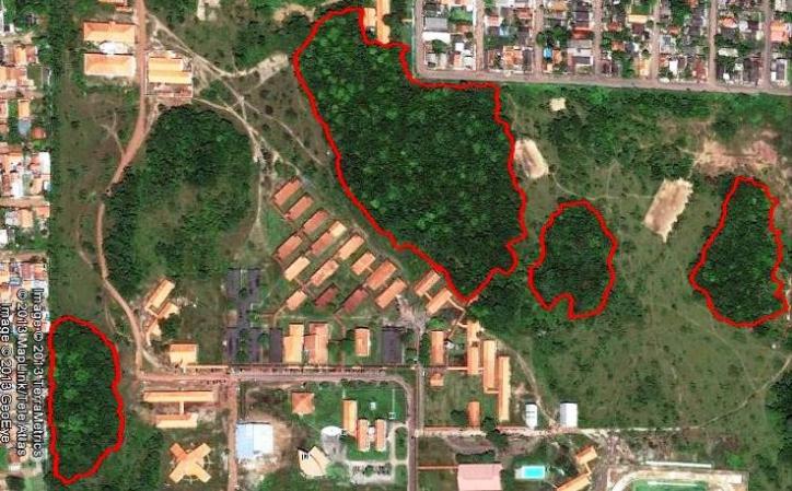 Estrutura da vegetação de fragmentos florestas no Campus da Unversdade Federal do Amapá - Brasl O muncípo de Macapá possu um clma equatoral semúmdo Am) com poucas varações de temperatura, o período