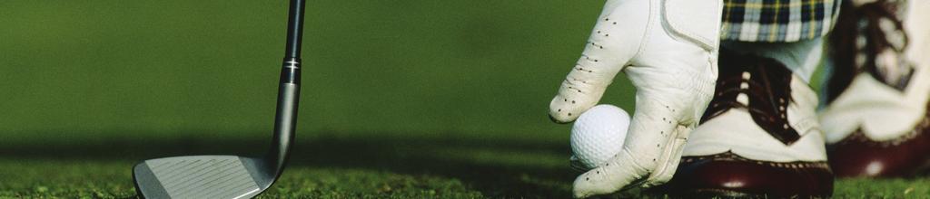 INFOGOLFE ESCANDINAVOS MANTÊM LIDERANÇA O número de voltas de golfe, em Março, totalizou 15.167, mantendo-se na liderança portugueses com 38,2 por cento e 19,5 por cento, respectivamente.