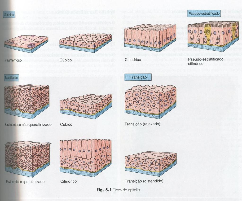 Figura