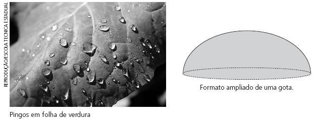 Observando as figuras, conclui-se que a queima das verduras ocorre porque as gotas depositadas sobre as folhas planas assumem formatos de objetos ópticos conhecidos como lentes: a) biconvexas, que