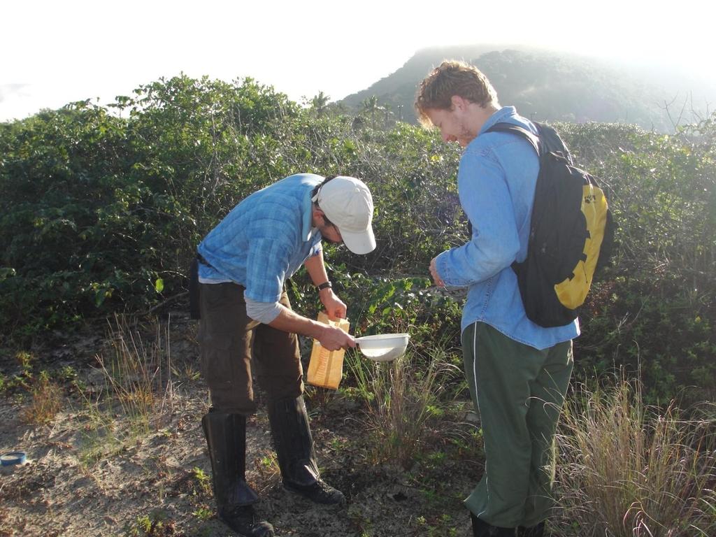 METODOLOGIA Coleta de serapilheira