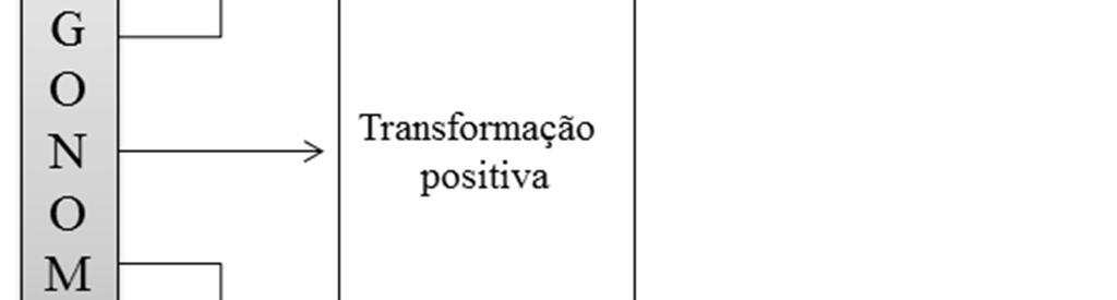 Assim sendo, antecedendo qualquer trabalho, é preciso unir ergonomia ao sistema. 2.