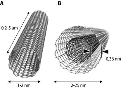 1.5. A figura representa nanotubos de carbono. 1.5.1. Os nanotubos são um produto de um ramo das ciências. Refere qual o ramo científico e indica duas das suas aplicações. (5 pontos) 1.5.2.