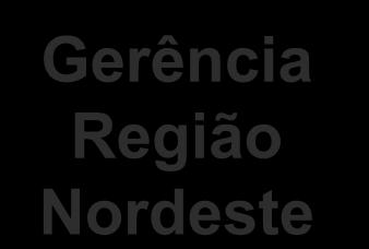 Departamentalização Geográfica Diretor Geral Gerência Região Sul Gerência Região Sudeste Gerência Região Norte Gerência Região Nordeste Requer