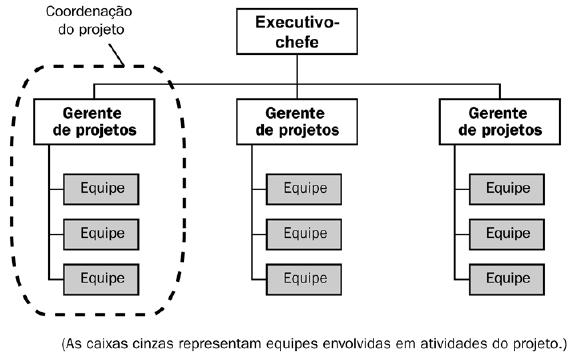 Influencias da estrutura organizacional nos projetos Estrutura