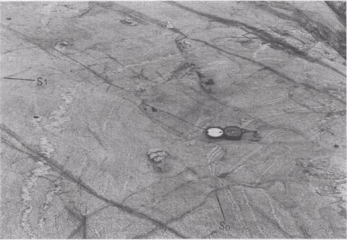 Revista Brasileira de Geociências, Volume 28, 1998 517 Figura 4-Afloramento da extremidade leste do Complexo Granítico Estrela mostrando bandamento magmático primário S 0 concordante com os limites