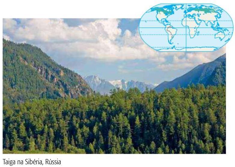 PRINCIPAIS FORMAÇÕES VEGETAIS DA TERRA Taiga em russo: Floresta fria Onde Ocorre Rússia, Canadá, Noruega, Suécia, etc.