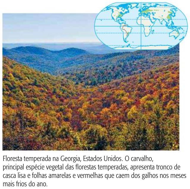 PRINCIPAIS FORMAÇÕES VEGETAIS DA TERRA Floresta Temperada e Subtropical Características Florestas