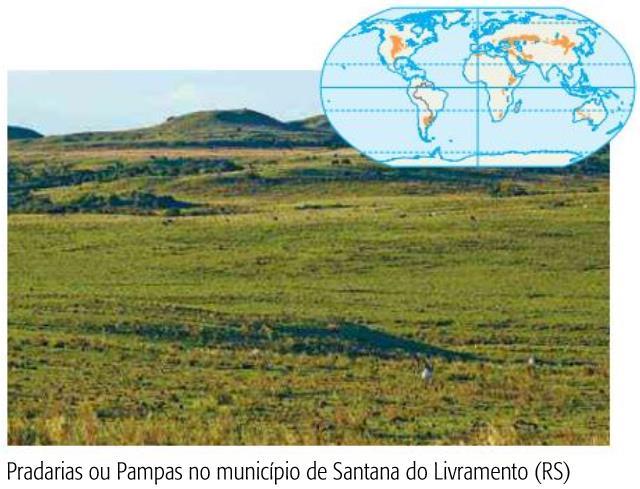 PRINCIPAIS FORMAÇÕES VEGETAIS DA TERRA Pradarias chamadas no Brasil de: campos chamadas na Ásia de: estepes