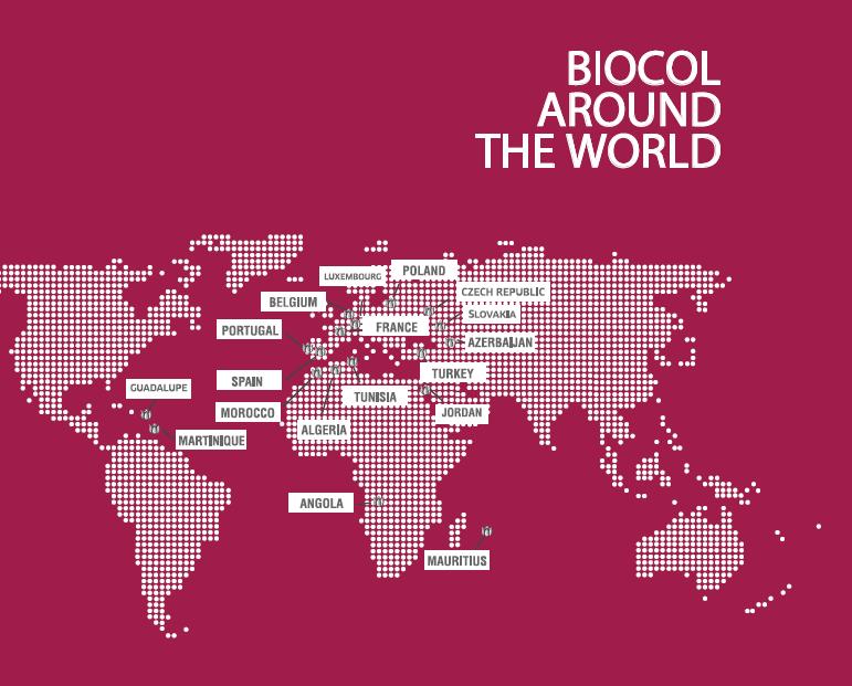 1.4 Biocol no Mundo A Biocol começou em 2001 a desenvolver o seu negócio internacional e agora conta com a presença mais de 15 Países de