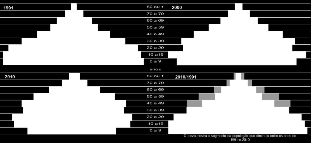 Evolução da pirâmide etária na AMUREL 1991/2010 Fonte: IBGE