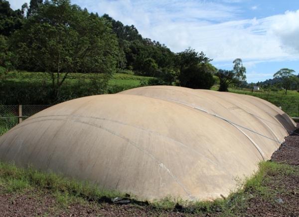 Atividade: Avaliação do uso da biomassa