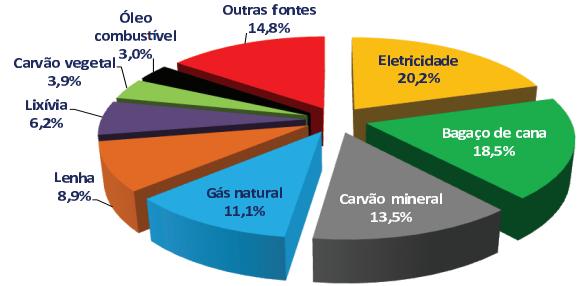 19 2.2 PROGRAMA NACIONAL DE CONSERVAÇÃO DE ENERGIA ELÉTRICA A forma de energia mais empregada em processos de produção nos dias atuais é a energia elétrica.