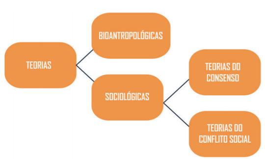 TEORIAS SOCIOLÓGICAS DA CRIMINALIDADE As teorias sociológicas abandonam o estudo do crime a partir de características bioantropológicas e dedicam-se ao estudo das condições sociológicas, isto é, o