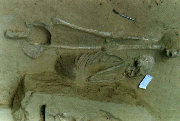 Esqueleto 24: enterramento primário, sexo masculino,