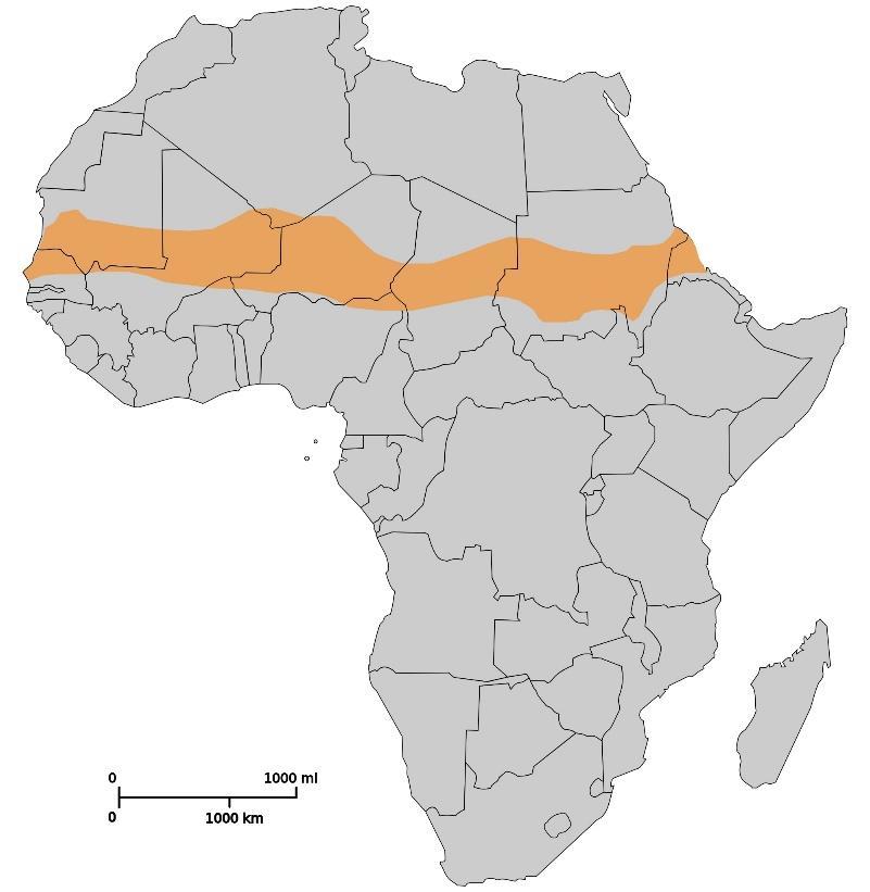 Questão 1. Considere o mapa do continente africano abaixo. Fonte: https://upload.wikimedia.org/wikipedia/commons/2/2b/map.jpg A respeito da região em destaque no mapa, assinale a alternativa correta.