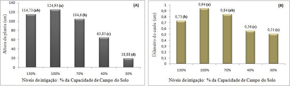 Os resultados (Tabela 2) mostram efeitos significativos do manejo da irrigação sobre as variáveis analisadas, ou seja, as lâminas de irrigação aplicadas apresentaram efeitos diferentes nas variáveis,