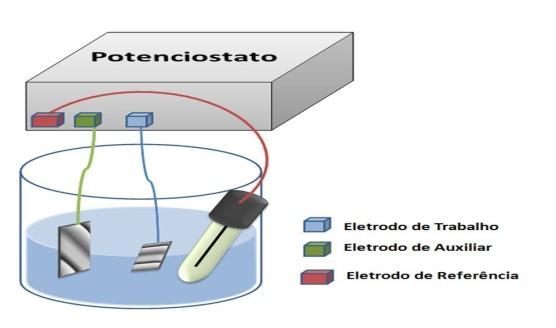 célula eletroquímica de 50 ml composta por três eletrodos, conforme Figura 1. O eletrodo de referência utilizado foi o Ag/AgCl e o eletrodo auxiliar de platina.