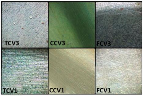 Pelas micrografias ópticas (Figura 3 e Figura 4), pode-se observar que os pontos desgastados aumentaram ao longo dos 3 dias de experimento paras as amostras SV.