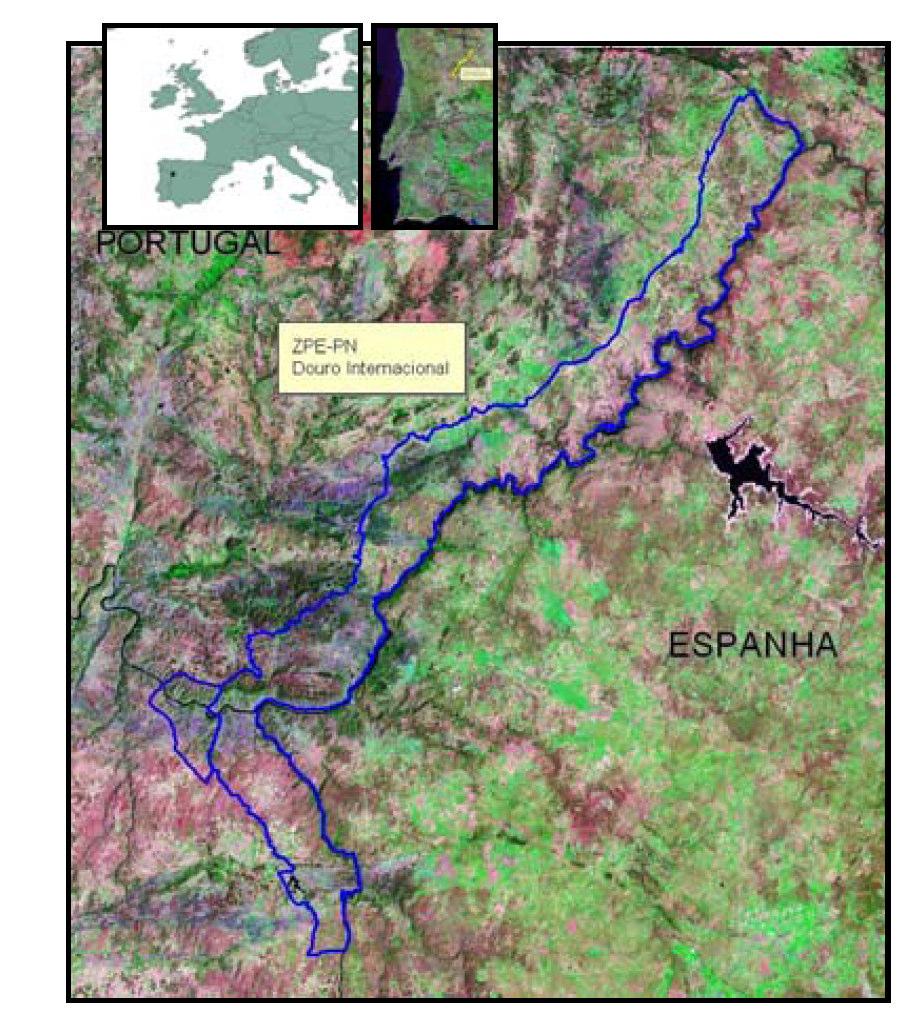 Área de intervenção Desde o seu nascimento nas altas montanhas de Soria até à sua foz na cidade do Porto, o Douro é um dos maiores rios da Península Ibérica.