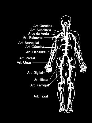 intravascular e as células teciduais.