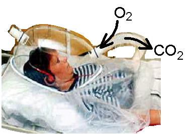O calorímetro indirecto mede as velocidades de consumo de O 2 e a produção de CO 2 permitindo calcular a despesa energética e o Quociente Respiratório (QR) QR = moles ou volume CO 2 excretado / moles