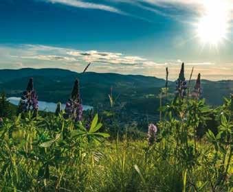 O rio Reno forma uma fronteira natural entre a Alemanha e a França.